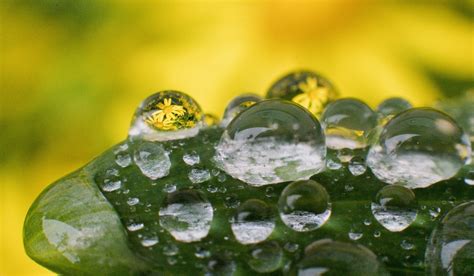 Wettervorhersage Dauerregen Oder Sonnenschein So Wird Das Wetter Am