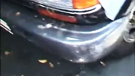 Montana Gunn Free Porn Star Videos Xhamster