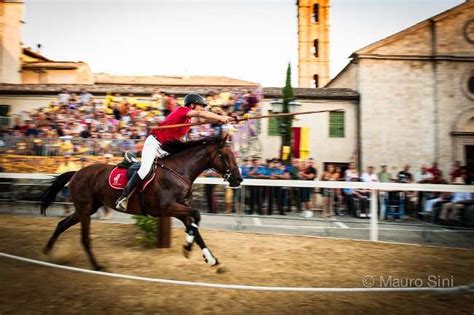 Giostra Del Saracino A Sarteano Il Gran Giorno