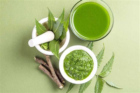 9 Health Benefits Of Neem Leaves How To Use Side Effects Artofit