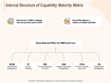 Internal Structure Of Capability Maturity Matrix Ppt Powerpoint