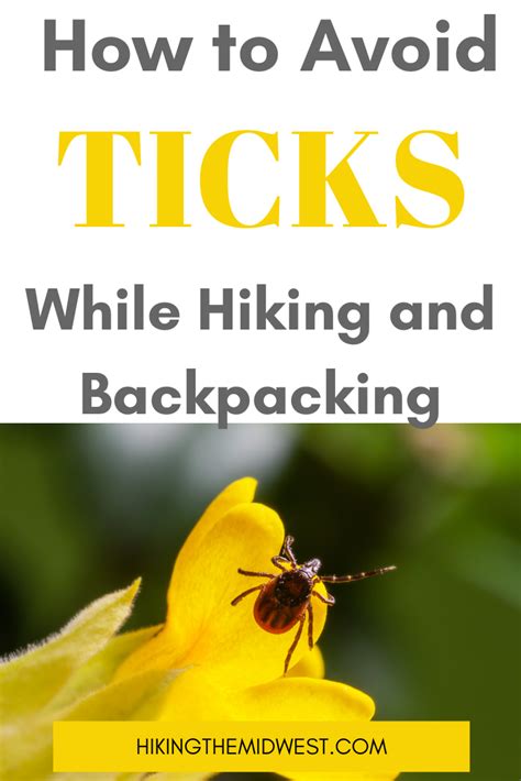 Avoid Ticks While Hiking In 2020 Hiking Tips Hiking Camping And Hiking