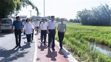 富顺县：杨斌带队调研富顺县龙贯山稻粱园区重点项目推进情况四川在线