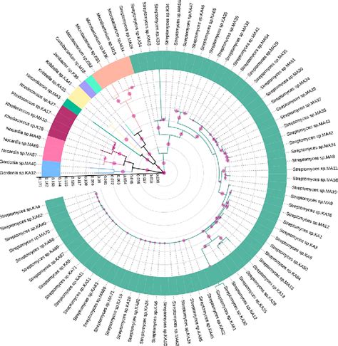 Figure From Characterization And Selection Of Endophytic