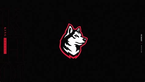 Northeastern University Athletics Rebrand On Behance In 2020