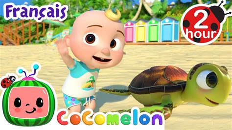 Les Animaux De La Plage Chansons Pour B B S Cocomelon Le Coin Des