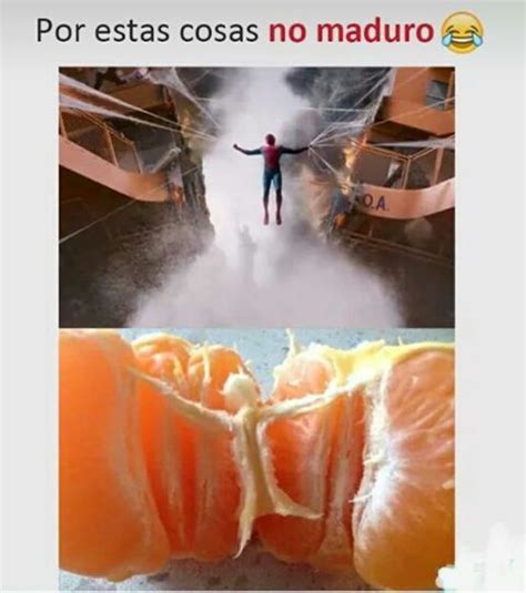 Momos Shidoris Alv Libro Memes Graciosos Memes Espa Ol Graciosos