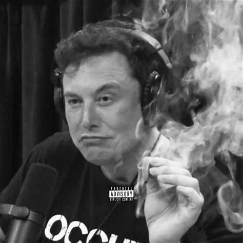 Elon Musk Single By Oaktree Spotify