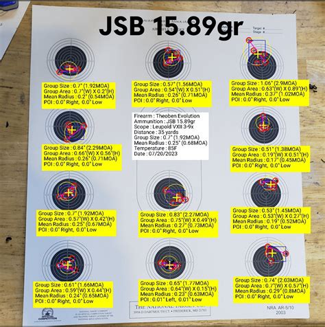 Pellet Testing The 22 Theoben Evolution Rairguns