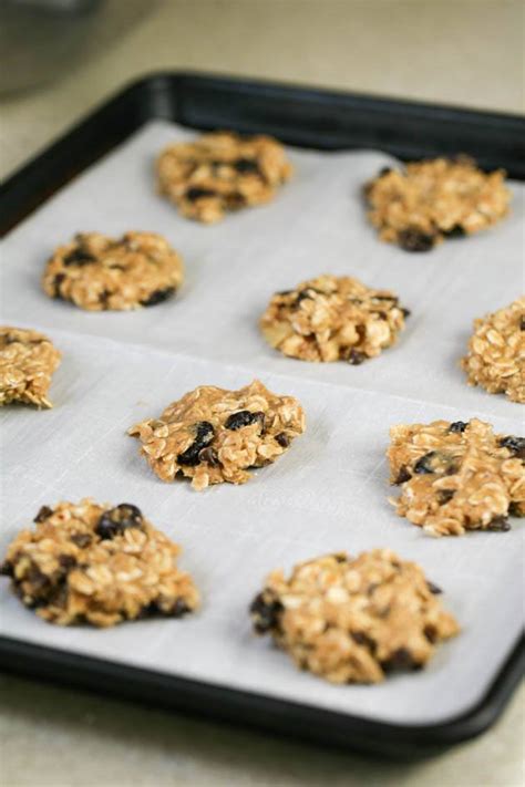 Simple Oatmeal Cookies Lady Lees Home