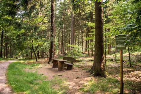 Der Rennsteig im Thüringer Wald | Ferienhaus Lichtung