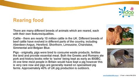 How Is Food Grown Reared Or Caught Online Presentation