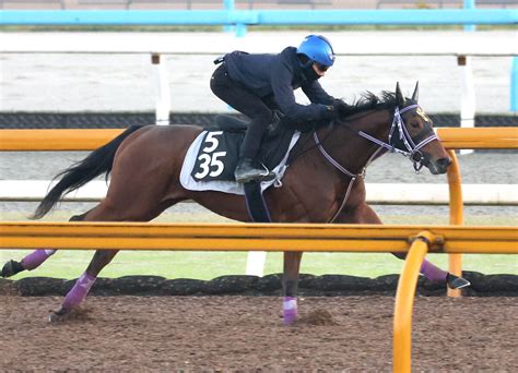 【ファンタジーs】シュークリームは角馬場で好気配をキープ 陣営「いい勝ち方をしたので楽しみ」 Umatoku 馬トク