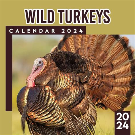 Wild Turkeys 2024-2025 Calendar: 12 Month Animals Calendar 2024 From