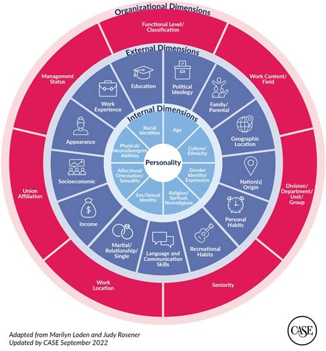 Diversity Wheel And Identity Slide Example Case