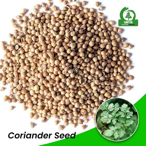 Coriander Seeds In Tamil