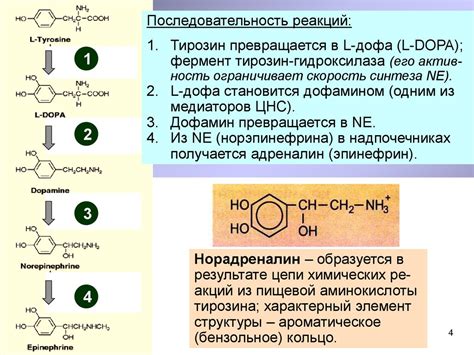 Адреналин и норадреналин - презентация онлайн