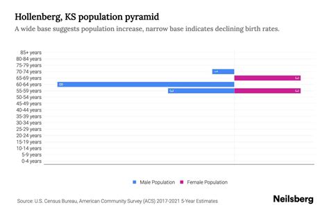 Hollenberg Ks Population By Age Hollenberg Ks Age Demographics