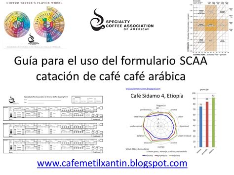 Guía para el uso del formulario SCAA catación de café arábica