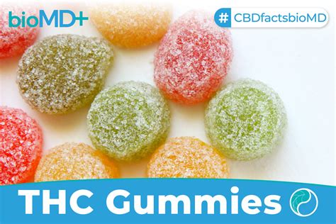 THC Gummies Ultimate Guide October 2023