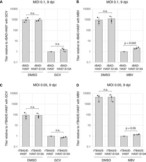 Serine 13 Of The Human Cytomegalovirus Viral Cyclin Dependent Kinase