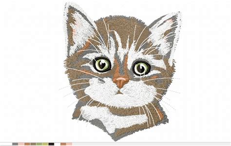 Cat Machine Embroidery Designs Tested Etsy