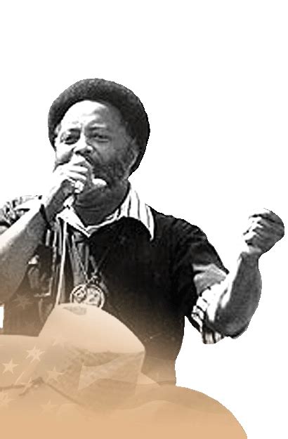 international civil rights walk  fame hosea williams