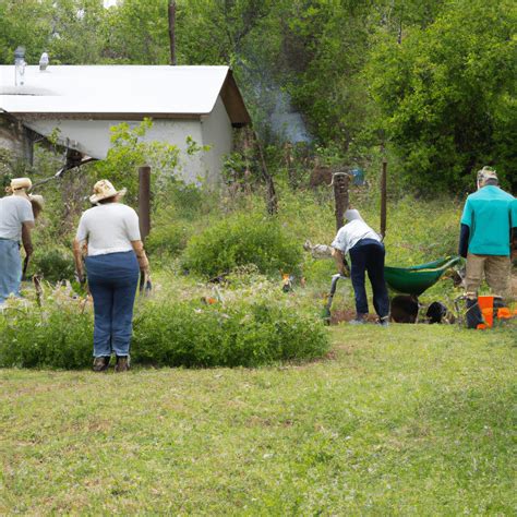 Crop Management Strategies for Your Kingsbury Market Garden - Kingsbury Market Garden Warren VT