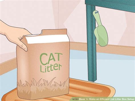 How To Make An Efficient Cat Litter Box Setup Steps