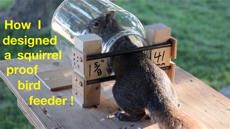 Diy Squirrel Proof Bird Feeder Plans