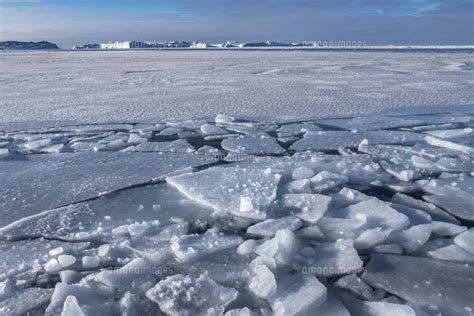 Icebergs Calved From Jakobshavn Glacier Frozen In Disko Bay Ilulissat