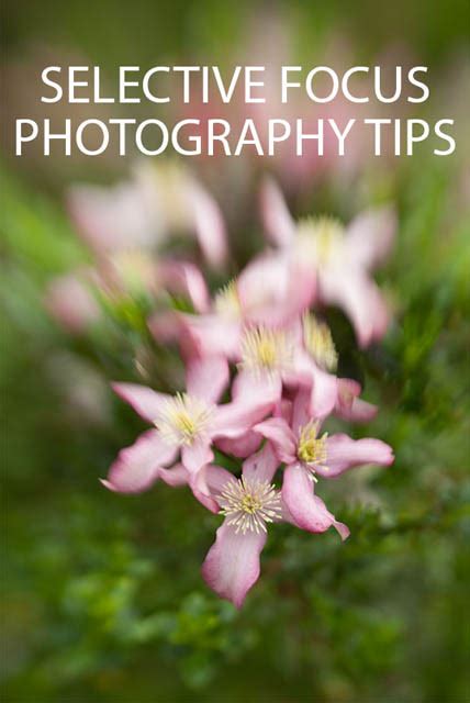 Selective Focus Photography Tips | Discover Digital Photography