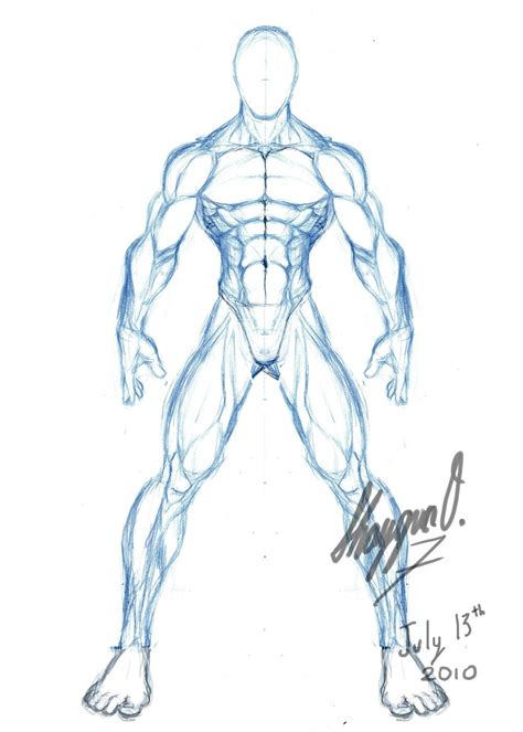 Male Body Drawing Template Male Anatomy Template Front Concept