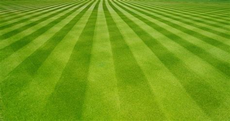 Lawn Striping Tips: How To Mow Stripes In Your Lawn | Mow Stripes