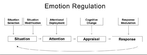 Process Model Emotion Regulation