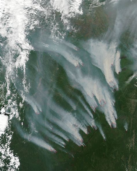 Wildfires in Siberia : Image of the Day