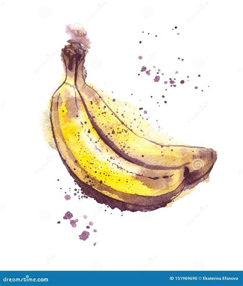 Banana Couple Watercolor Illustration Ripe Bananas Watercolor Wet