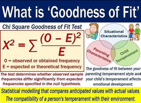 Goodness Of Fit Definition And Meaning Market Business News