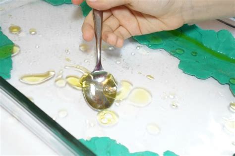 Oil Spill Clean Up Experiment for Kids