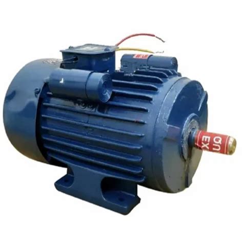 5 HP 6 Pole Single Phase Induction Motor 1000 Rpm At Rs 8000 In Jaipur