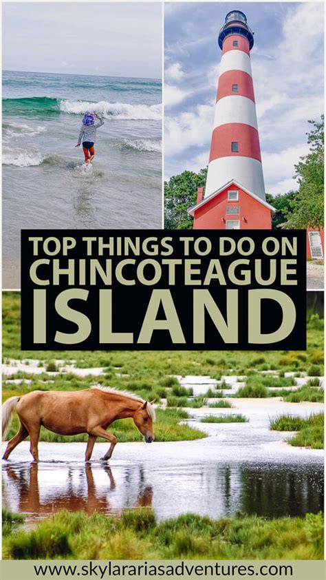 Top Things To Do On Chincoteague Island Skylar Arias Adventures