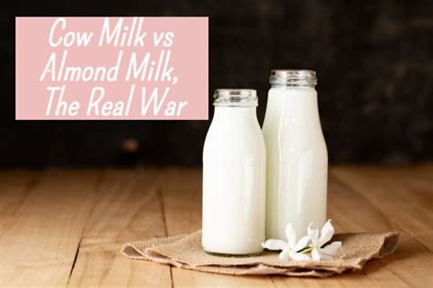 Almond Milk vs Regular Milk? Here's the difference!