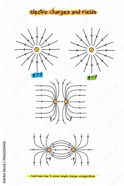 electric charges field physics vectorelectric field   positive