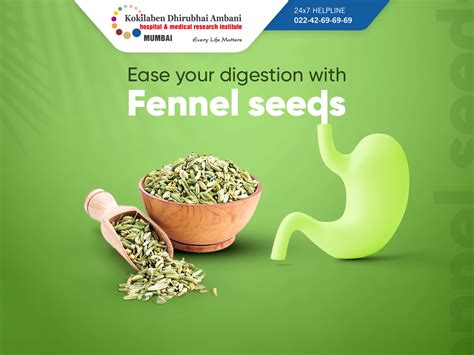 Ease your digestion with fennel seeds