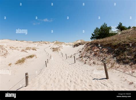 Moving Dunes In Slowinski National Park Poland Stock Photo Alamy