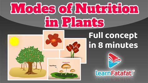 Class 7 Science Chapter 1 Nutrition In Plants Modes Of Nutrition In