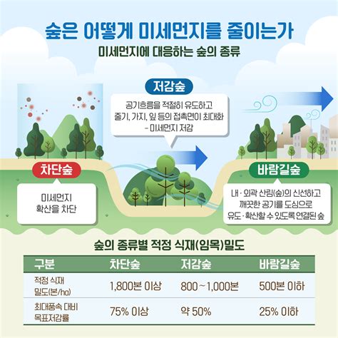 미세먼지 저감 효과가 높은 나무는 무엇 정책뉴스 뉴스 대한민국 정책브리핑