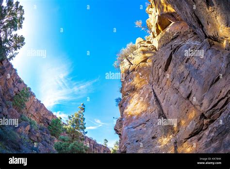 rock climbing in Arico (Tenerife island Stock Photo - Alamy