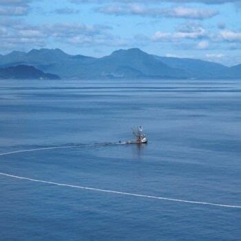 FV Cyclone Setting Out Their Salmon Seine In Chiniak Bay Kodiak