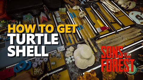 How To Get Turtle Shell In Sons Of The Forest Turtlean